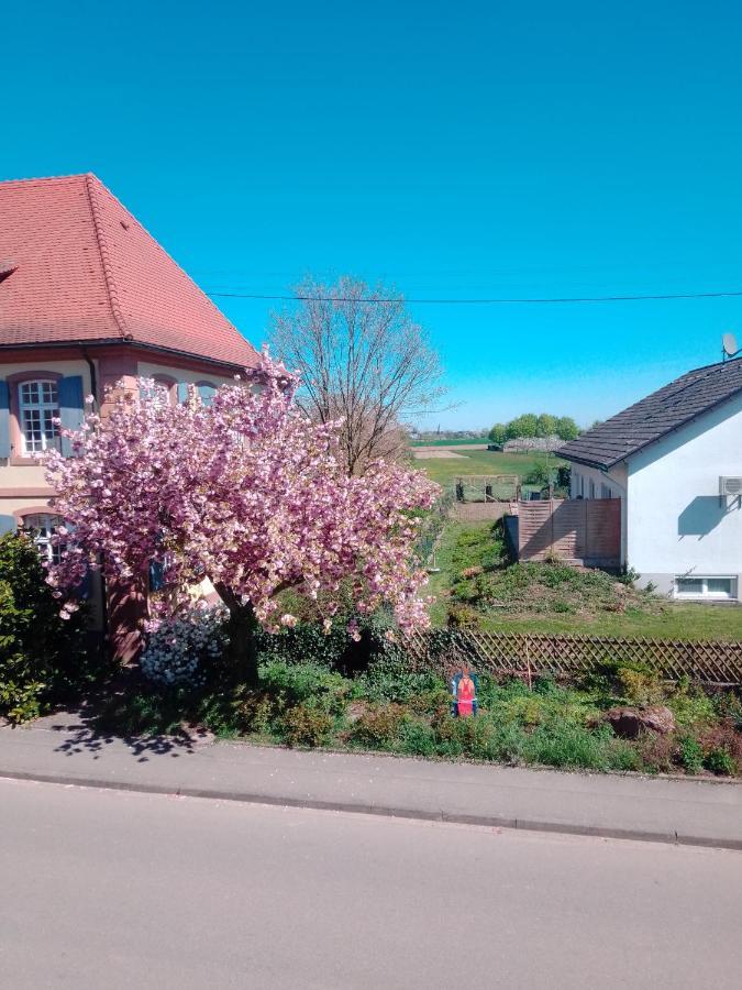 Ferienwohnung Gästehaus Brunhilde Wittenweier Exterior foto